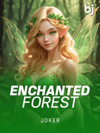 Enchanted Forest